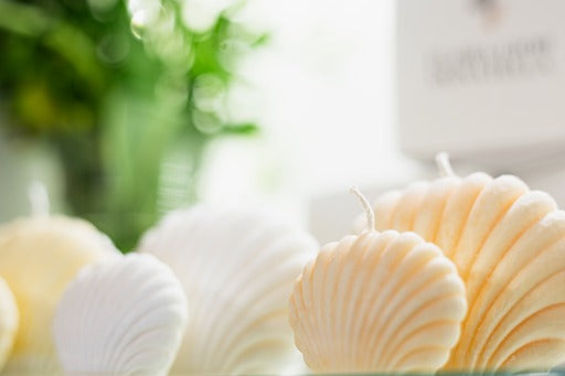 Vegan Shell Candle